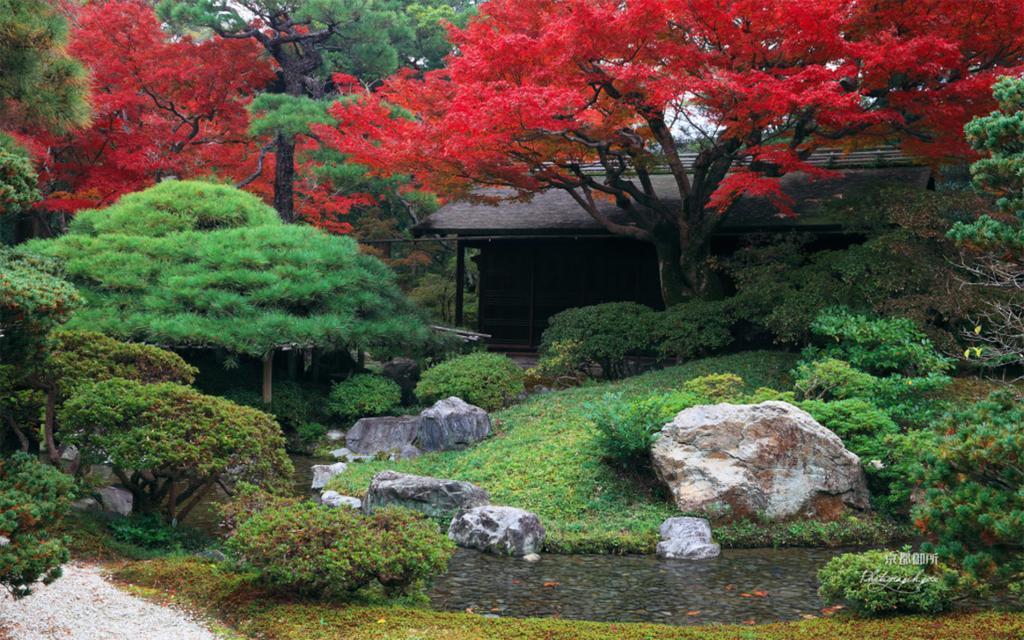 Hidden Inn Shimogamo เกียวโต ภายนอก รูปภาพ